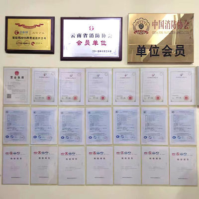 Stable Large Flow Fire Fighting Monitor System 50m Protection Radius Fire Suppression